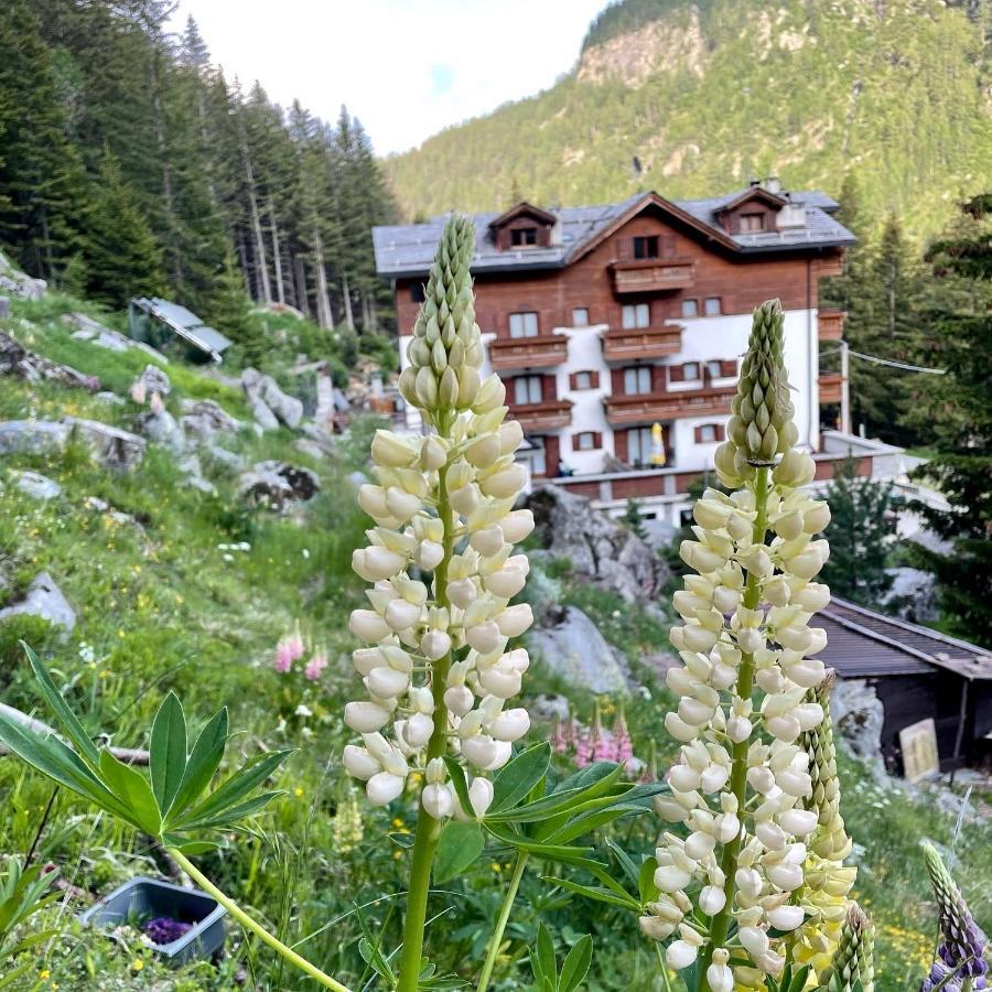 Hotel Gembro Chiesa in Valmalenco Eksteriør billede